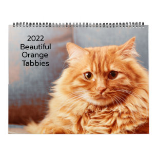 Beautiful Orange Tabbies 2022 Calendar