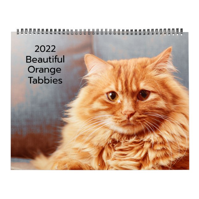 Beautiful Orange Tabbies 2022 Calendar (Cover)