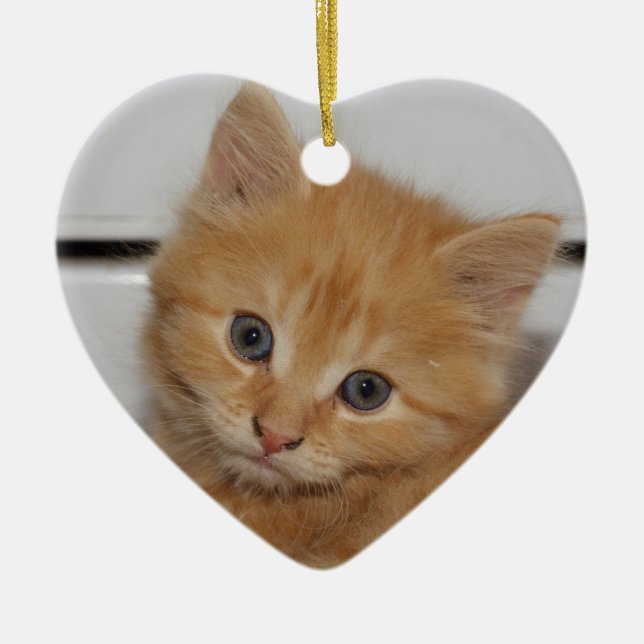 Beautiful Orange Tabby Kitten Ceramic Tree Decoration (Front)
