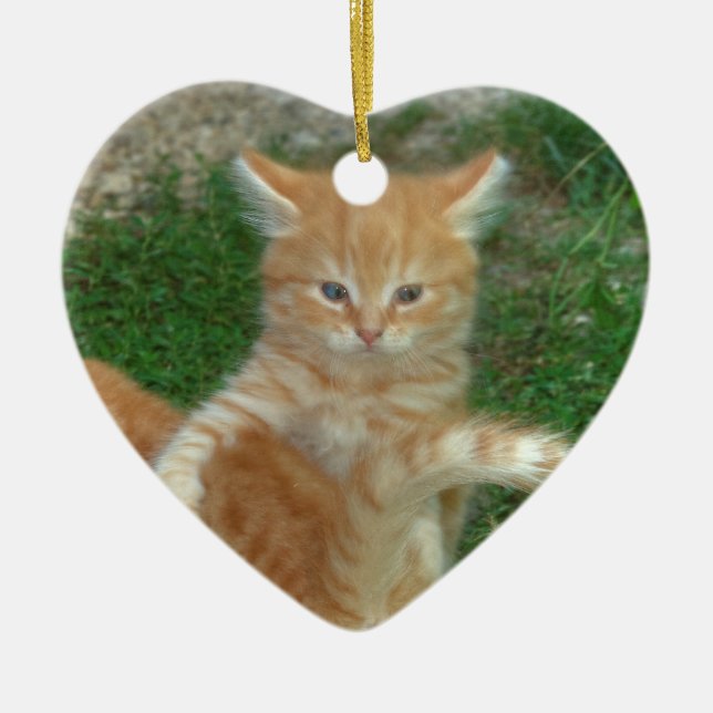 Beautiful Orange Tabby Kitten Ceramic Tree Decoration (Front)