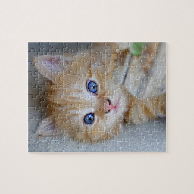 Beautiful Orange Tabby Kitten Jigsaw Puzzle (Horizontal)