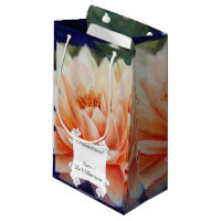 Beautiful Orange Waterlily Flower