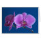 Beautiful Orchid Card