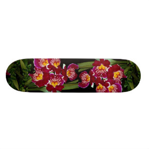 Beautiful Orchid, miltonia hybrid Skateboard