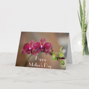 Beautiful Orchid Mother's Day Card