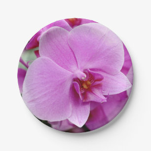Beautiful Orchid Paper Plate