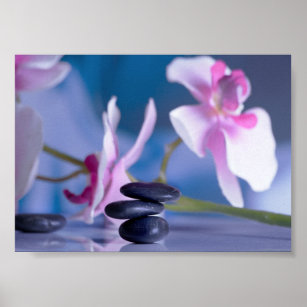Beautiful Orchid , Zen Stones Poster