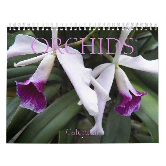 Beautiful Orchids Floral Photographic Calendar (Cover)