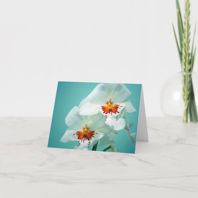 Beautiful Orchids Note Card (Front)