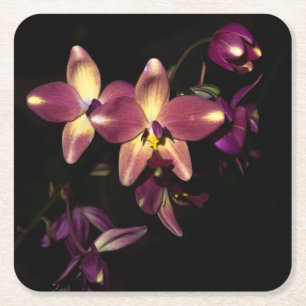 Beautiful Orchids Square Paper Coaster