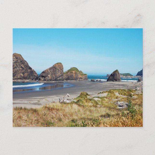 Beautiful Oregon coast landscape    Postcard (Front)