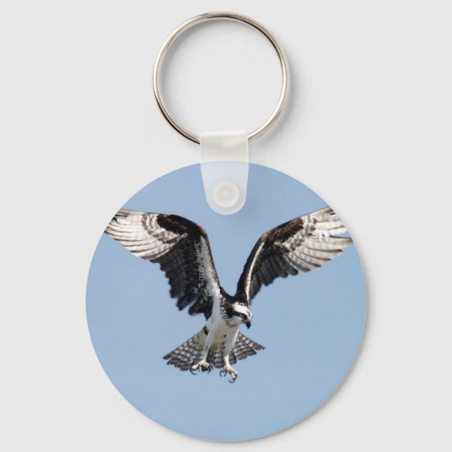 Beautiful Osprey bird Searching for prey Key Ring (Front)