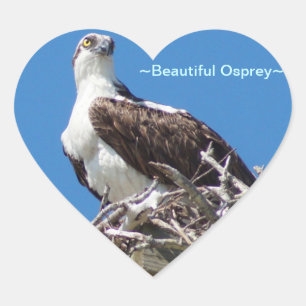 Beautiful Osprey Hawk Heart Sticker