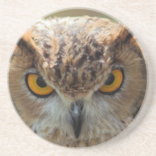 Beautiful Owl Coaster