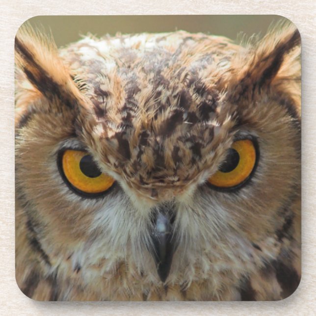 Beautiful Owl Coaster (Front)