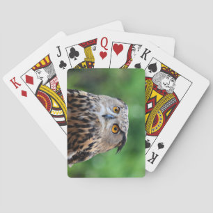 Beautiful Owl Deck of Playing Cards