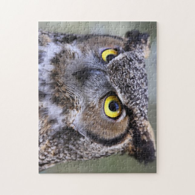 Beautiful Owl Jigsaw Puzzle (Vertical)