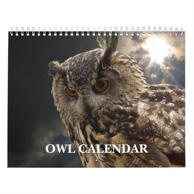 Beautiful Owl Pictures and Images 2026 Calendar (Cover)