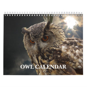 Beautiful Owl Pictures and Images 2026 Calendar