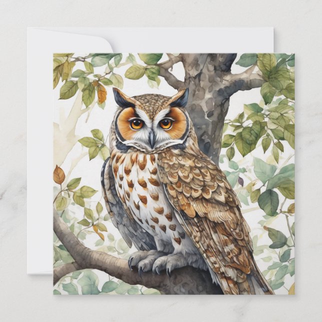 Beautiful Owl Sitting on a Tree Branch  Card (Front)