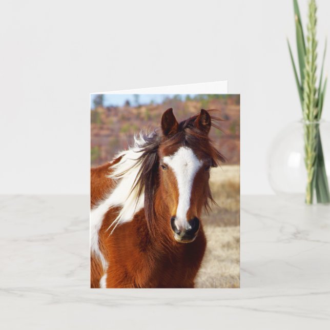Beautiful Paint Horse Birthday Cards (Front)