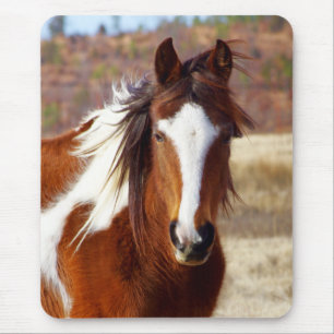 Beautiful Paint Horse Mousepad