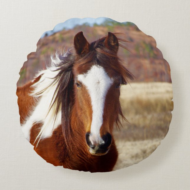 Beautiful Paint Horse Round Pillow (Front)