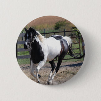 Beautiful Paint Pinto Horse 6 Cm Round Badge