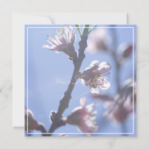 Beautiful Pale Cherry Blossoms Your Text Flat Card