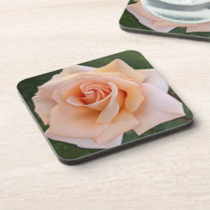 Beautiful Pale Orange Rose Bloom Floral Coaster