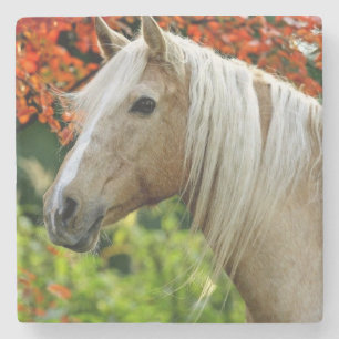 Beautiful Palomino Draught Horse Stone Coaster