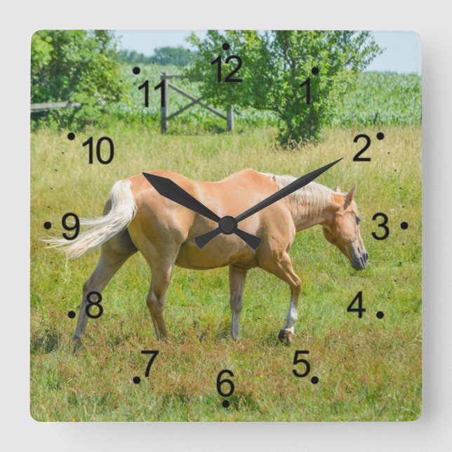 Beautiful Palomino Horse Countryside Square Wall Clock (Front)
