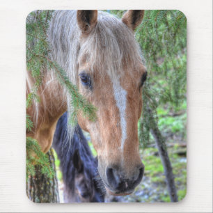 Beautiful Palomino Paint Horse & Branches in Rain Mouse Pad