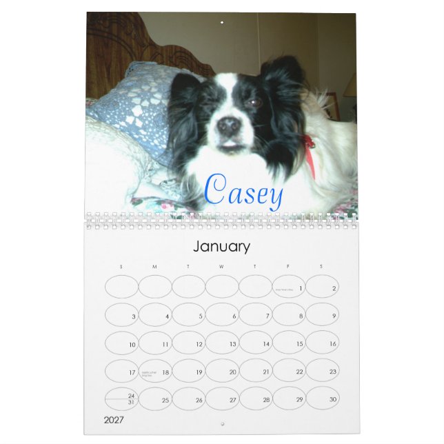 Beautiful Papillons, 2007 Calendar (Jan 2027)