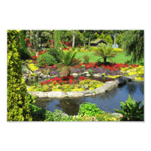 Beautiful Park Decorative Photo Print