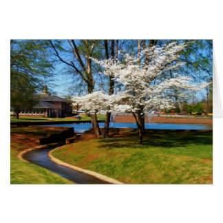 Beautiful Park Scene