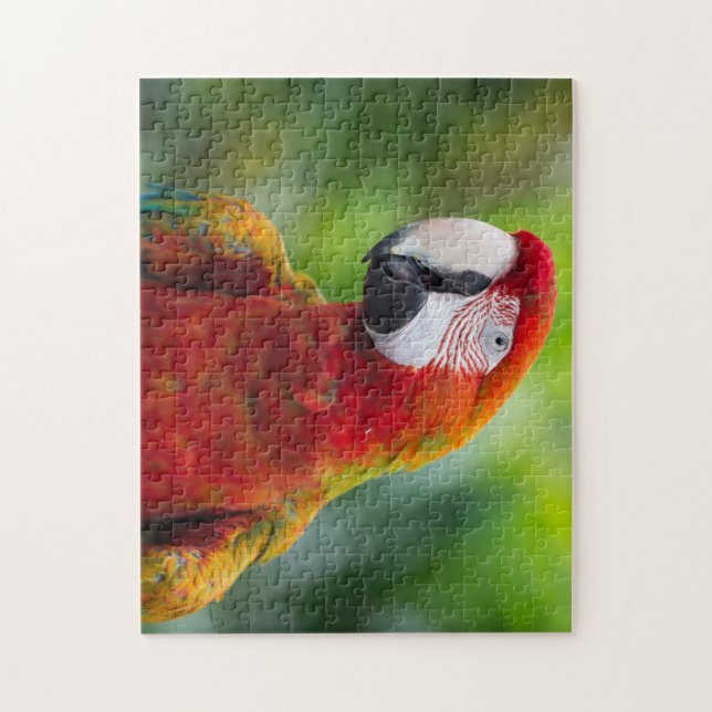 Beautiful Parrot Jigsaw Puzzle (Vertical)