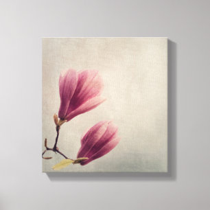 Beautiful pastel magnolia flower canvas print