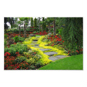 Beautiful Path Park Photo Print