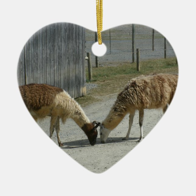 BEAUTIFUL, PEACEFUL, LLAMAS. CERAMIC TREE DECORATION (Front)