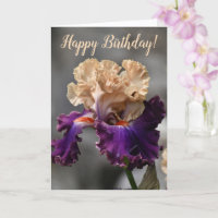 Beautiful Peach and Purple Iris Birthday