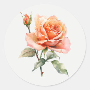 Beautiful Peach Rose Garden Flower Floral art Classic Round Sticker