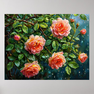 Beautiful Peach Roses on a Rainy Day Poster