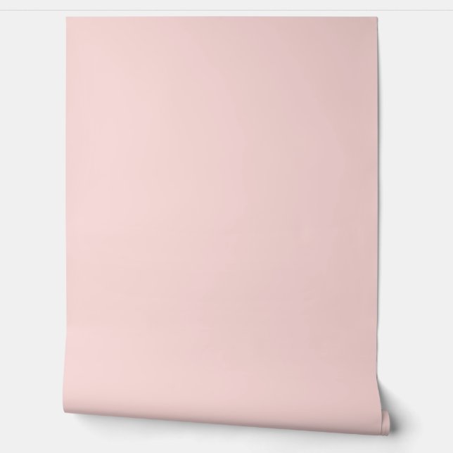 beautiful peach solid color  wallpaper (Unrolling)
