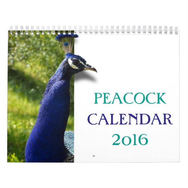 Beautiful Peacock 2016 Calendar (Cover)