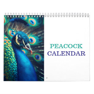 Beautiful Peacock 2026 Calendar