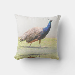 Beautiful Peacock Bird Birds Cushion