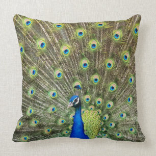 Beautiful peacock bird cushion