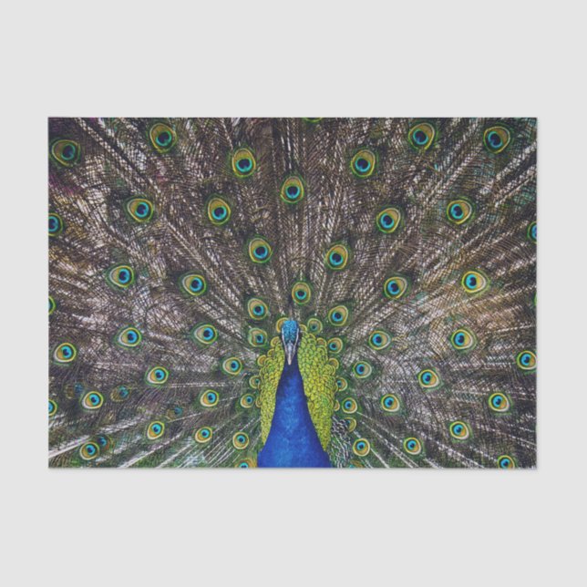 Beautiful Peacock bird Tissue Paper (Front)