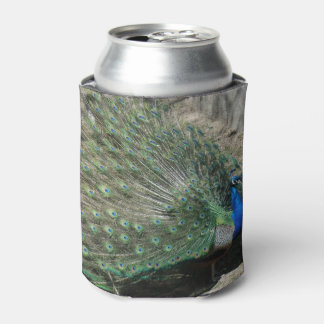 Beautiful Peacock Can Cooler